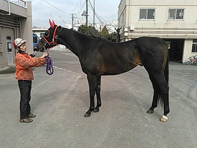 トランザムスター号