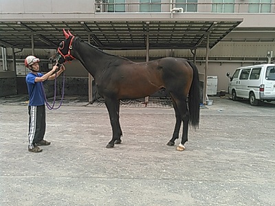 トランザムスター号