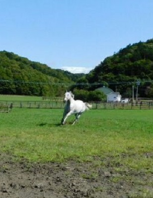 アイスカチャン号