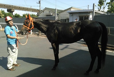 ウインプリンツ号