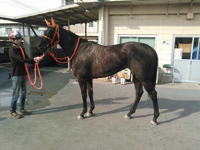 カズノイケヅキ号