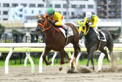 プレストレジーナ号が新馬