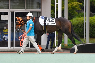 バレイボーラー号