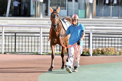 ラペルシェール号