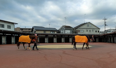 グロリオーソ号＆プレストレジーナ号