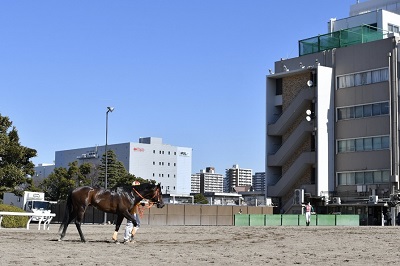 キタノユニヴァース号