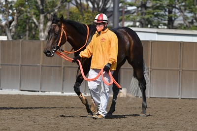 キタノユニヴァース号