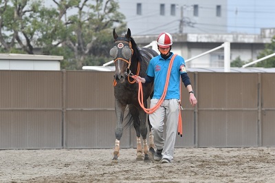 デニストン号