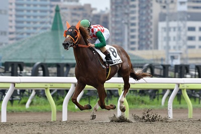 コスモダラニ号