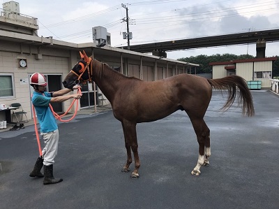 コスモダラニ号