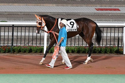 ココロイキ号