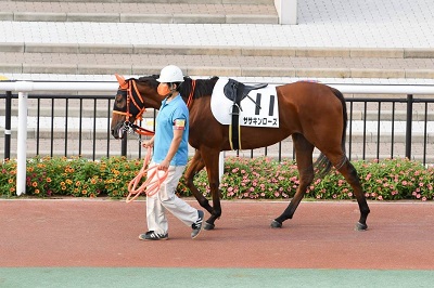 ササキンローズ号