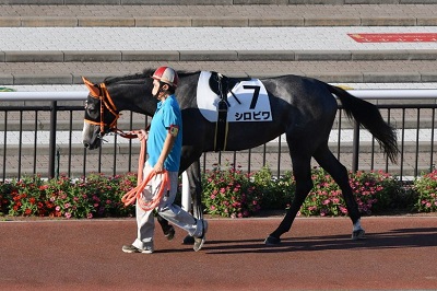 シロビワ号