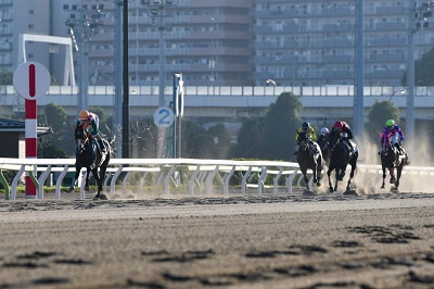 シロビワ号