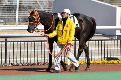 ローズティアラ号