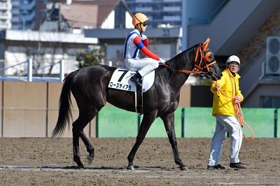 ローズティアラ号