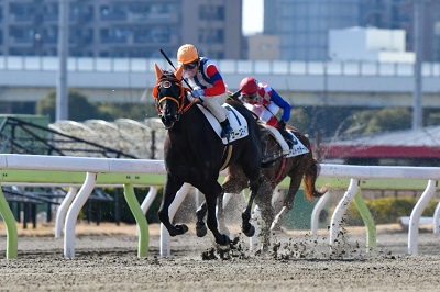 ローズティアラ号