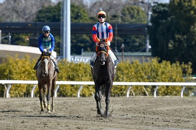 ローズティアラ号