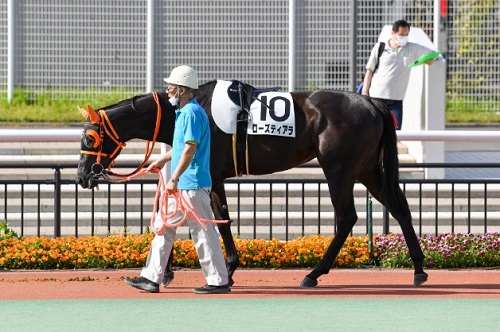 ローズティアラ号