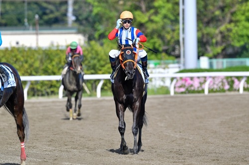 ローズティアラ号