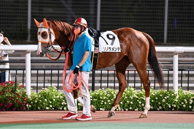 ソノラメンテ号