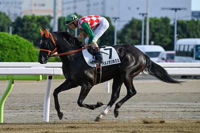 アメノオシホミミ号