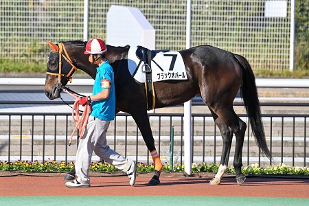 ブラックオパール号