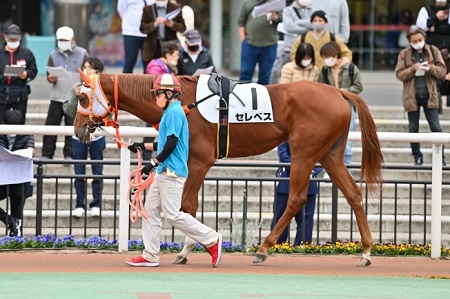 セレベス号