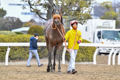 ラバテラリュージュ号