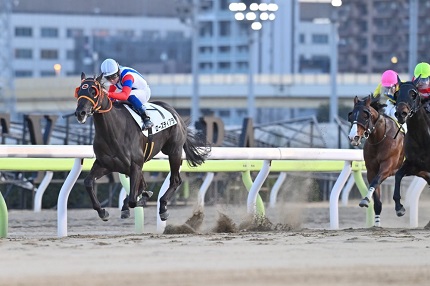 ローズティアラ号