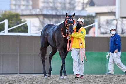 ローズティアラ号