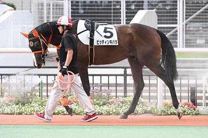 ビッティンキバラ号