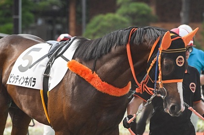 ビッティンキバラ号