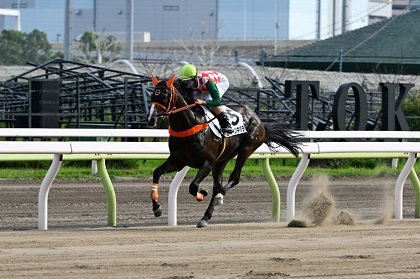 ビッティンキバラ号