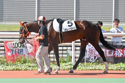 カレーウドン号