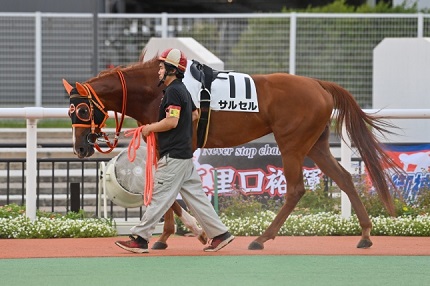 サルセル号