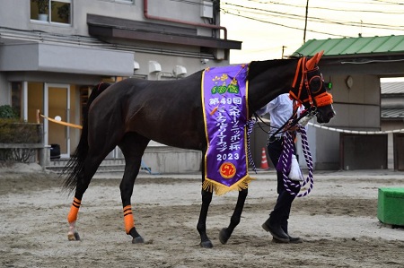 ノーブルシルエット号