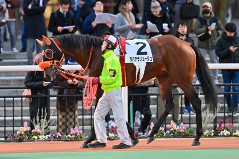 ラバテラリュージュ号