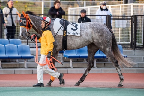 アイミーハイティー号