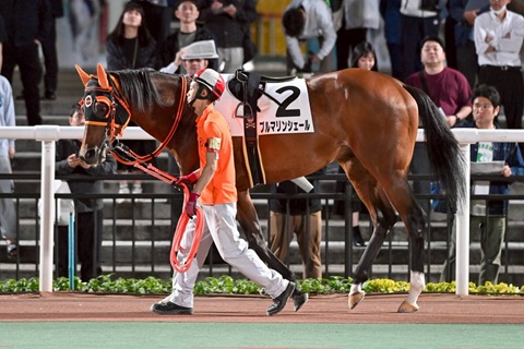 ブルマリンシェール号