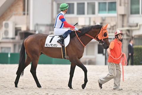 ギンノダンガン号