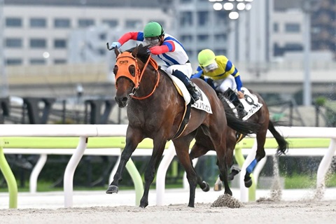 ギンノダンガン号