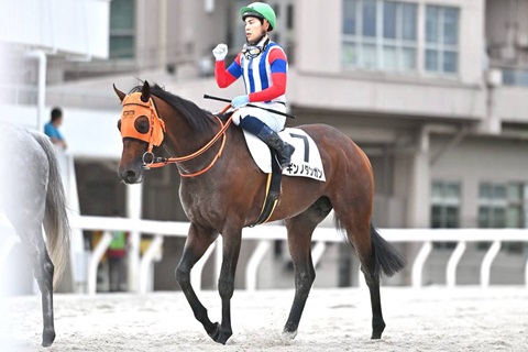 ギンノダンガン号